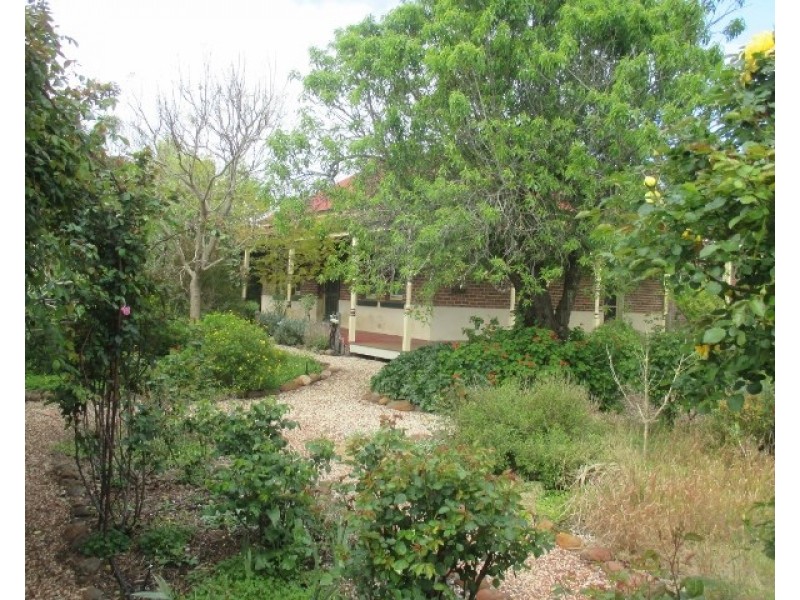 15 Beach Street, Katanning WA 6317