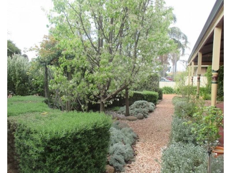 15 Beach Street, Katanning WA 6317