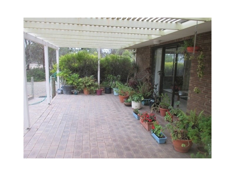 53 Tree Street, Katanning WA 6317