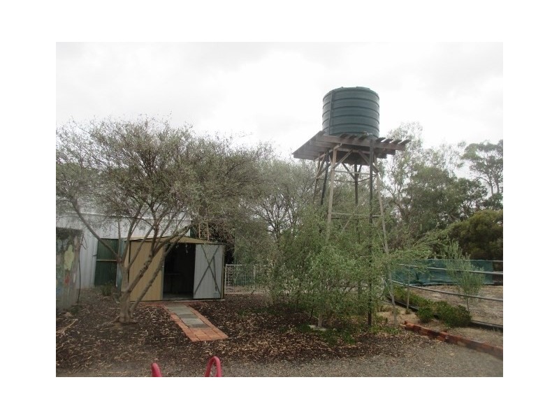 53 Tree Street, Katanning WA 6317