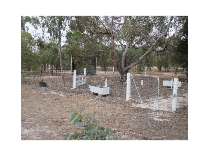 53 Tree Street, Katanning WA 6317