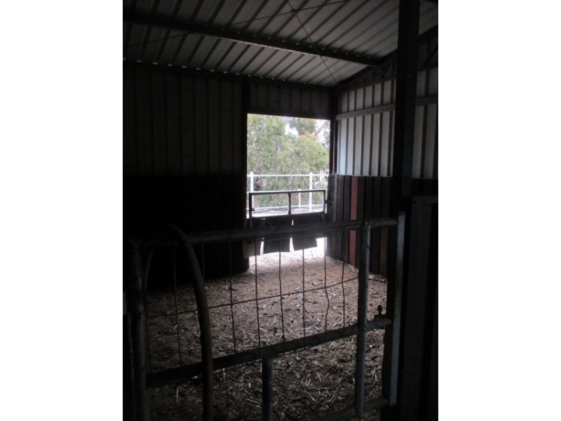 53 Tree Street, Katanning WA 6317