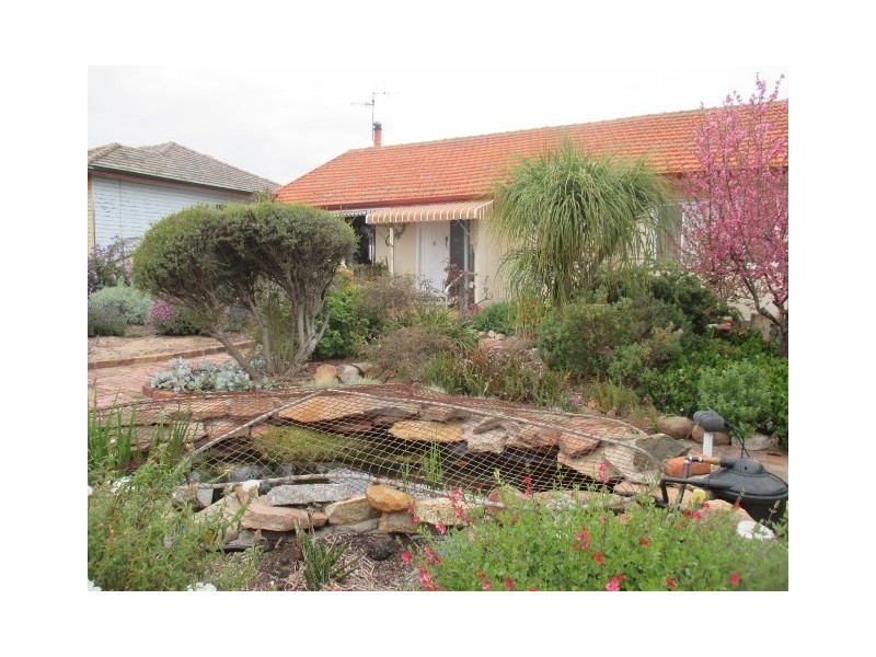 24 Chipper Street, Katanning WA 6317