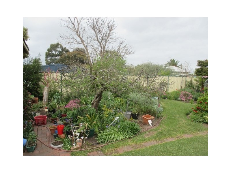 24 Chipper Street, Katanning WA 6317