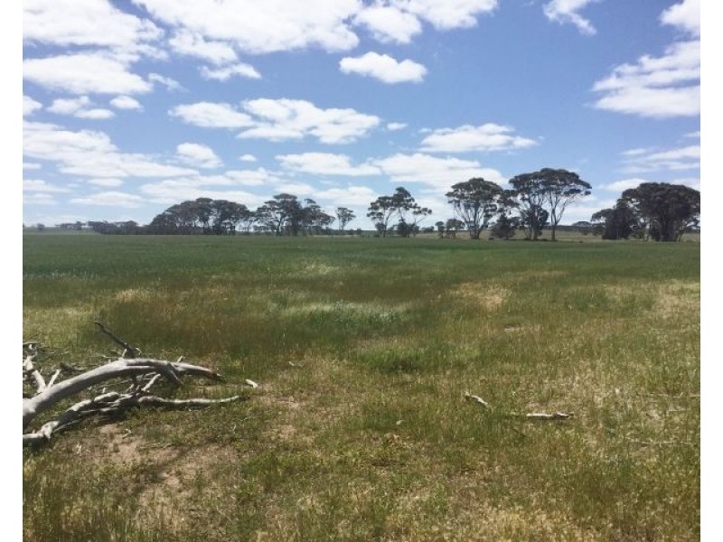 Lot  444 Stott Road, Katanning WA 6317