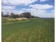 Lot  444 Stott Road, Katanning WA 6317