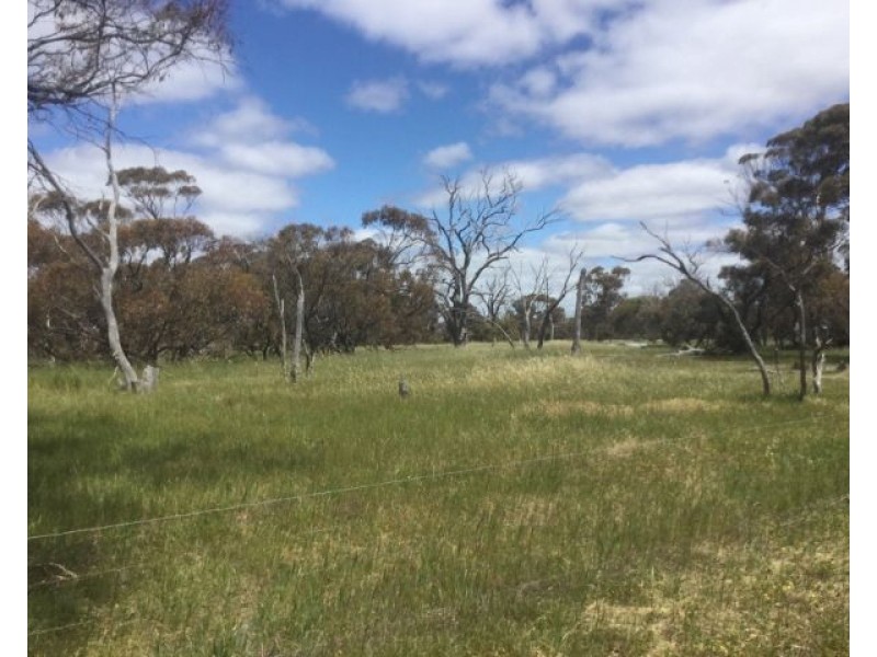Lot  444 Stott Road, Katanning WA 6317