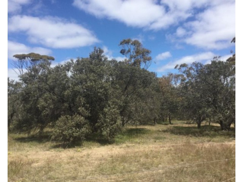 Lot  444 Stott Road, Katanning WA 6317