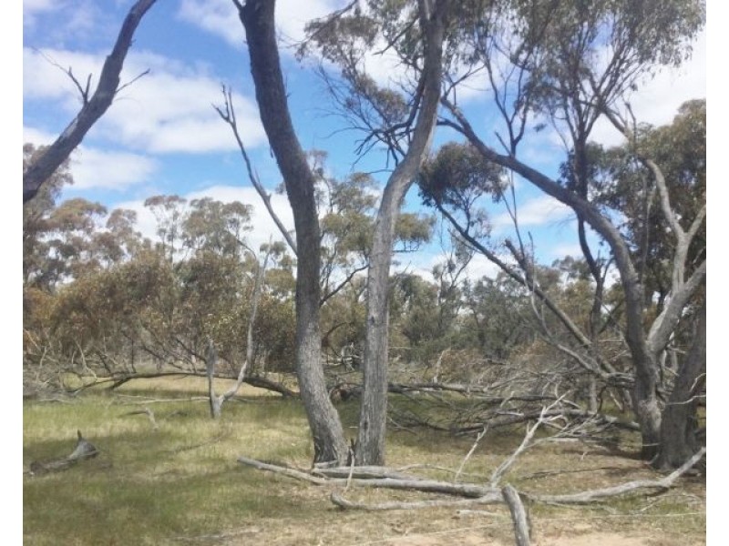 Lot  444 Stott Road, Katanning WA 6317