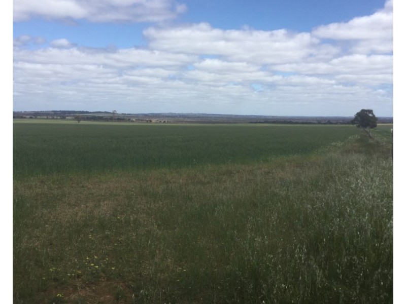 7314 Katanning-Nyabing Road, Katanning WA 6317