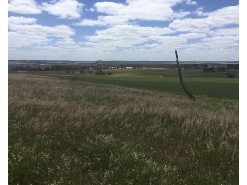 7314 Katanning-Nyabing Road, Katanning WA 6317