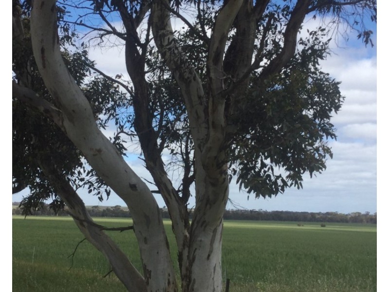 Lot 3174 Stott Road, Katanning WA 6317