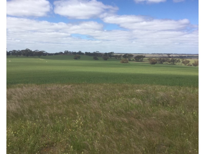 Lot 3174 Stott Road, Katanning WA 6317