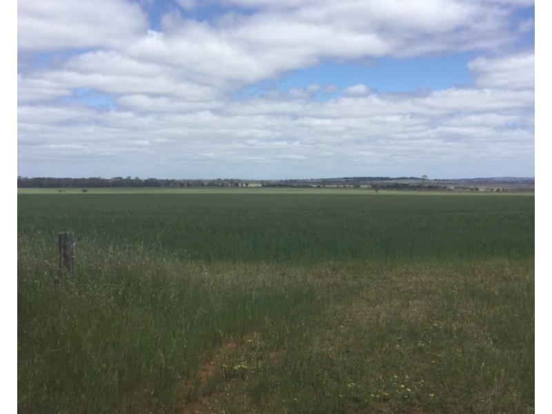 Lot 3174 Stott Road, Katanning WA 6317