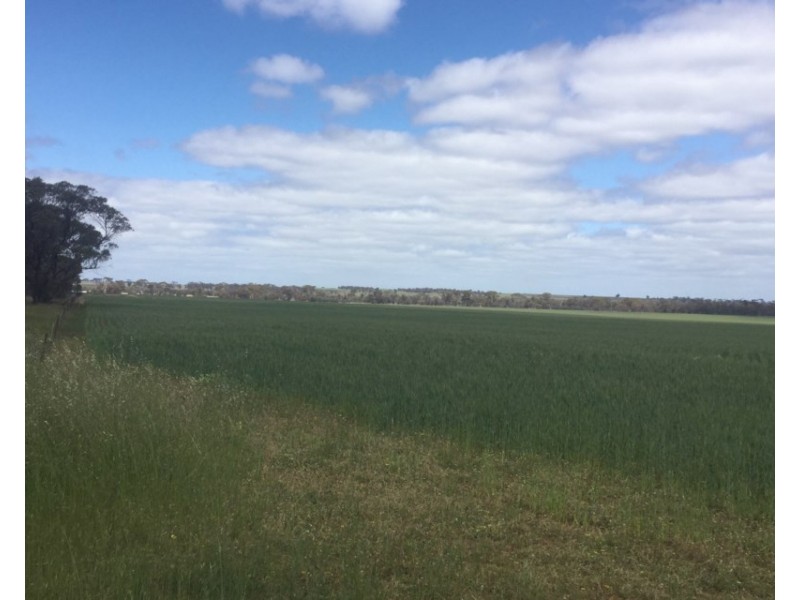 Lot 3174 Stott Road, Katanning WA 6317