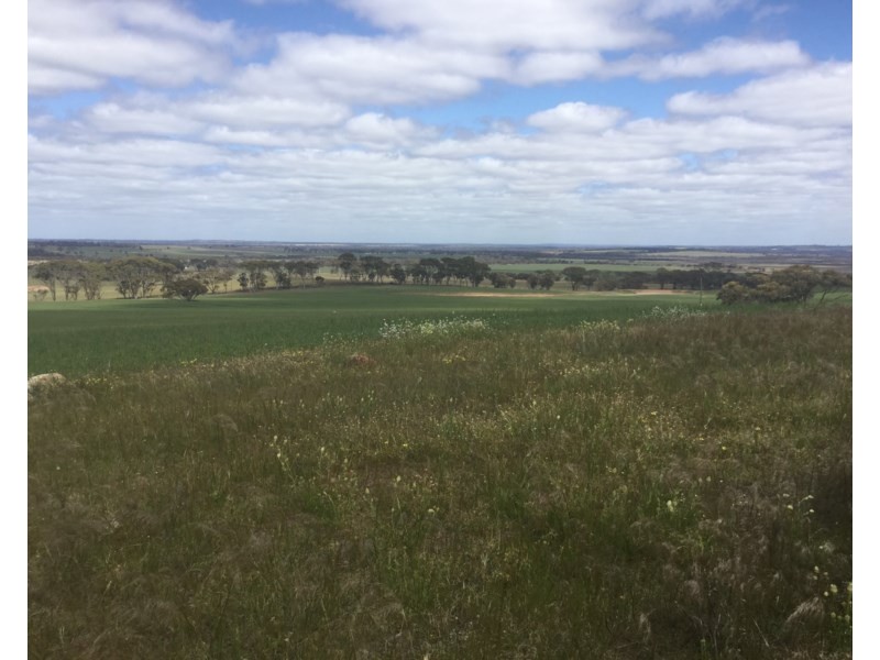 Lot 3174 Stott Road, Katanning WA 6317