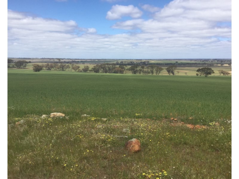 Lot 3174 Stott Road, Katanning WA 6317