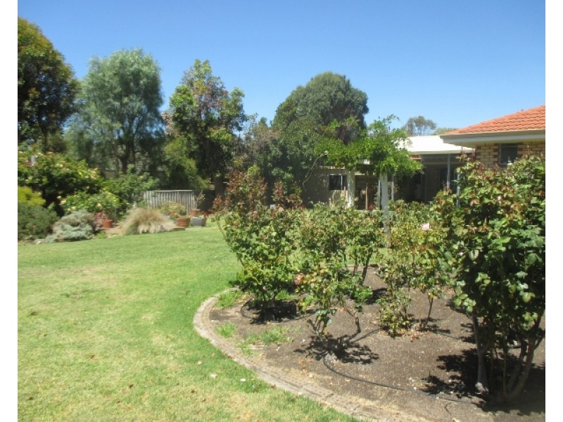 83 Conroy Street, Katanning WA 6317