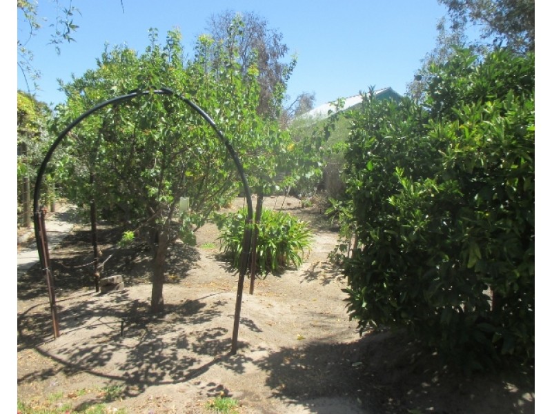 83 Conroy Street, Katanning WA 6317