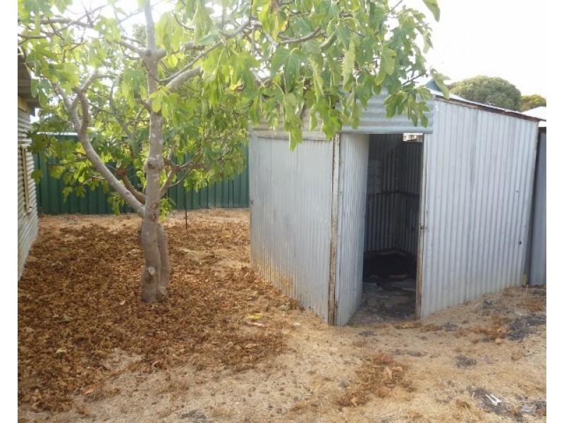 21 Kemble Terrace, Katanning WA 6317