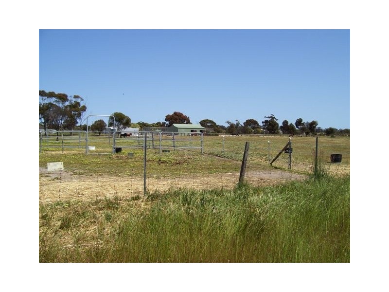 17 Forrest Hill Road, Katanning WA 6317