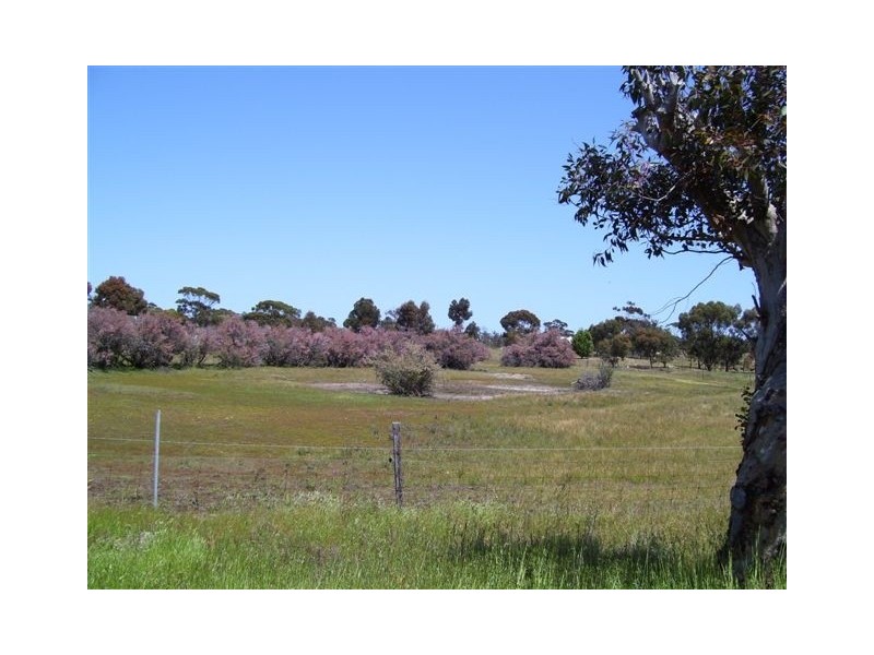 9 Forrest Hill Road, Katanning WA 6317