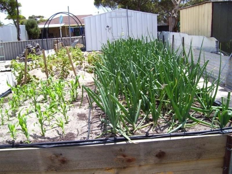 4 Carrie Street, Pingrup WA 6343