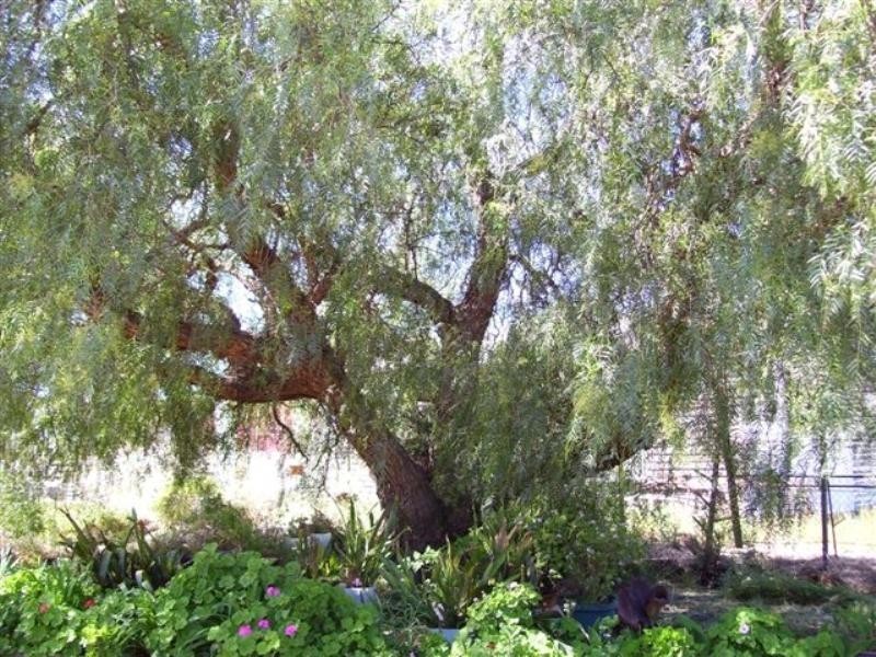 32 Bay Street, Katanning WA 6317