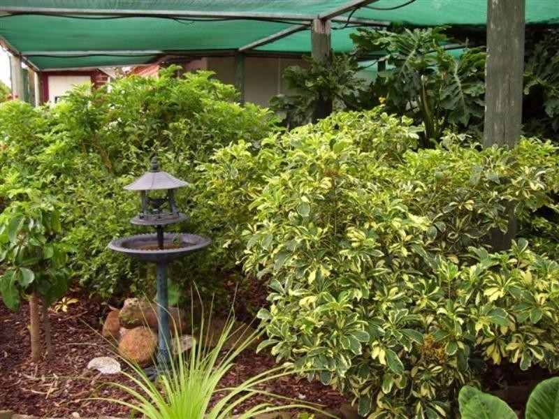 23 Claude Street, Gnowangerup WA 6335