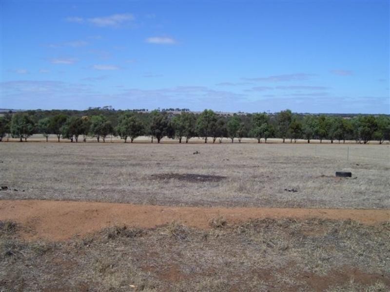 237 Trimmer Road, Moojebing WA 6317