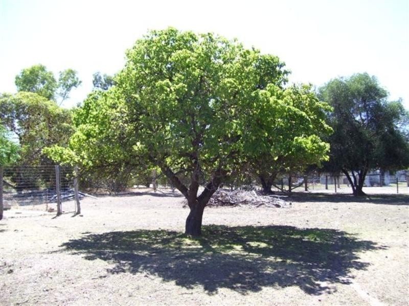 64 Katanning Road, Kojonup WA 6395