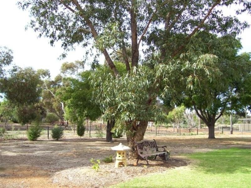 28 Urban Street, Wagin WA 6315