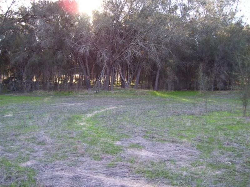 Lot 92 Burt Road, Woodanilling WA 6316
