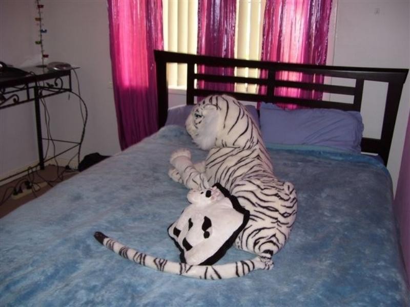 17 Quinn Road, Gnowangerup WA 6335