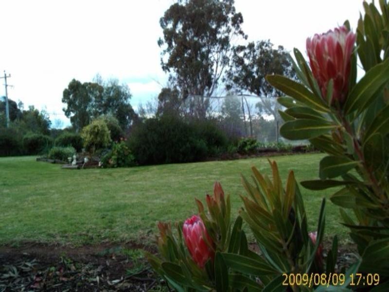 9 Chillicup Road, Broomehill WA 6318