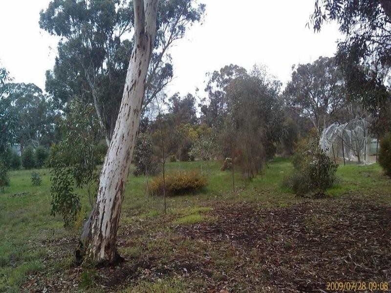 9 Chillicup Road, Broomehill WA 6318