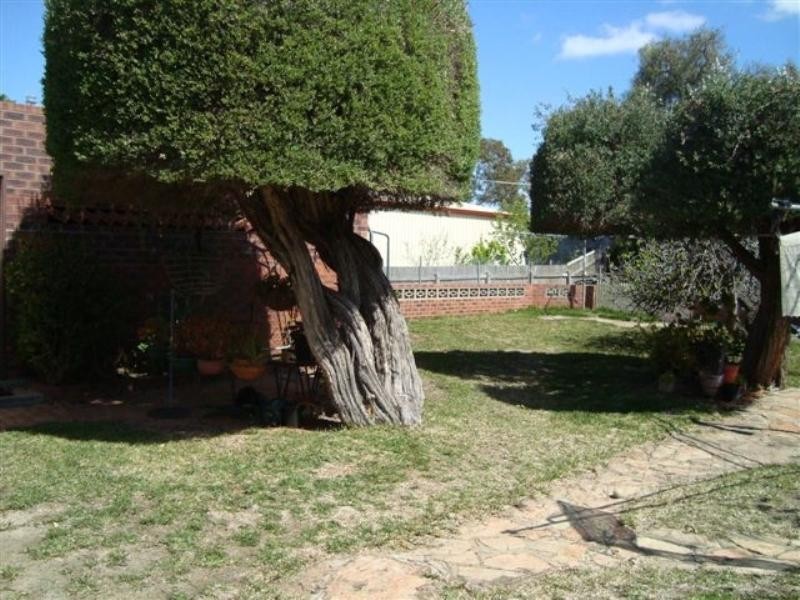 29 Carew Street, Katanning WA 6317