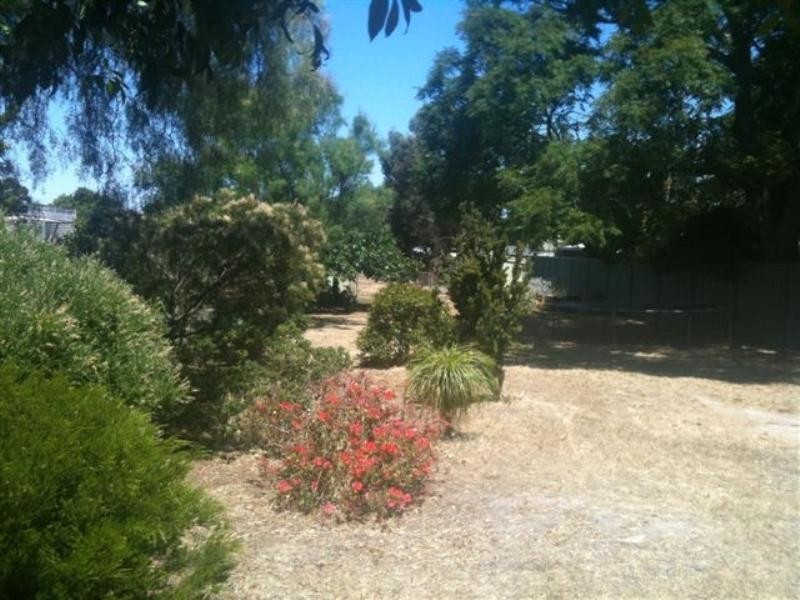 67 Avon Street, Katanning WA 6317