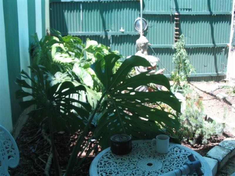 237 Hassell Road, Katanning WA 6317