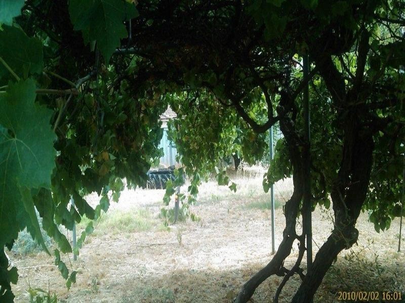 12 GREGORY, Kojonup WA 6395