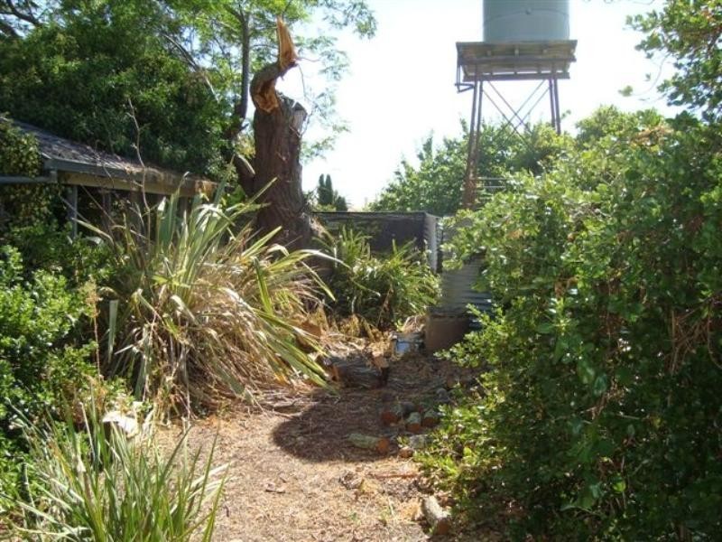 50 Arbour Street, Katanning WA 6317