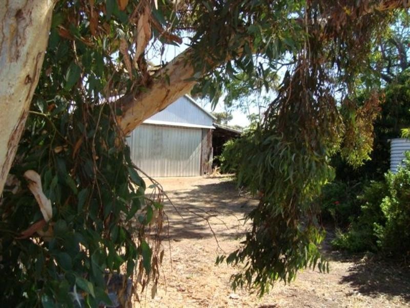 50 Arbour Street, Katanning WA 6317