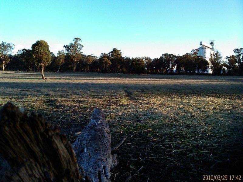 541 Rielly Road, Broomehill Village WA 6318