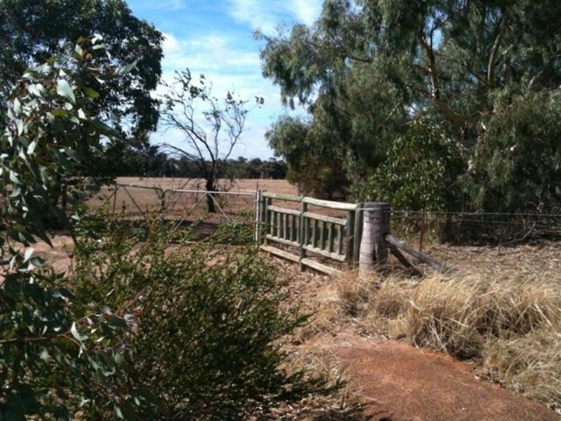 106 Wanke Street, Katanning WA 6317