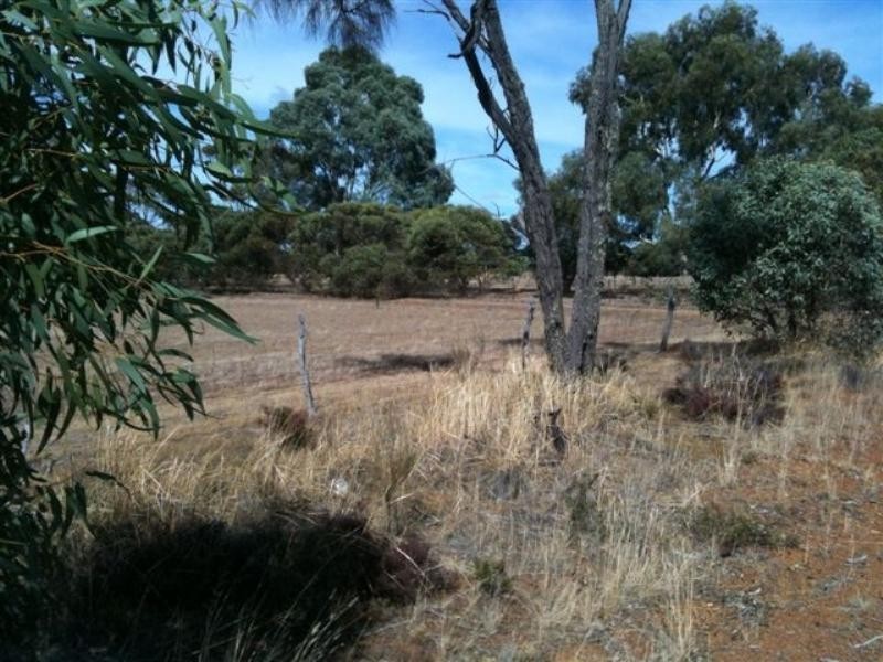 106 Wanke Street, Katanning WA 6317