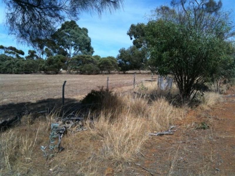 106 Wanke Street, Katanning WA 6317