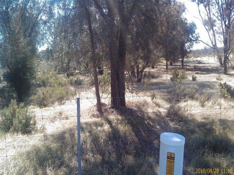 174 Ebsary Road, Dumbleyung WA 6350