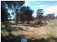 174 Ebsary Road, Dumbleyung WA 6350