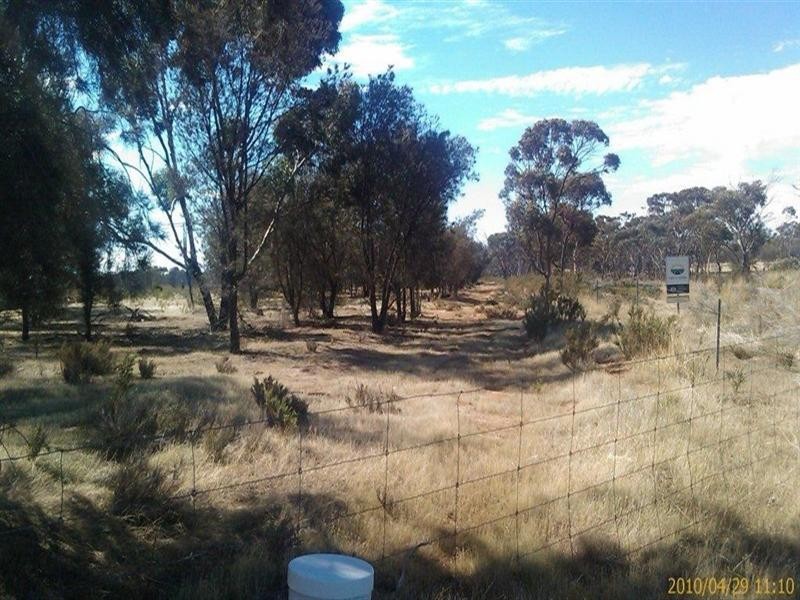 174 Ebsary Road, Dumbleyung WA 6350