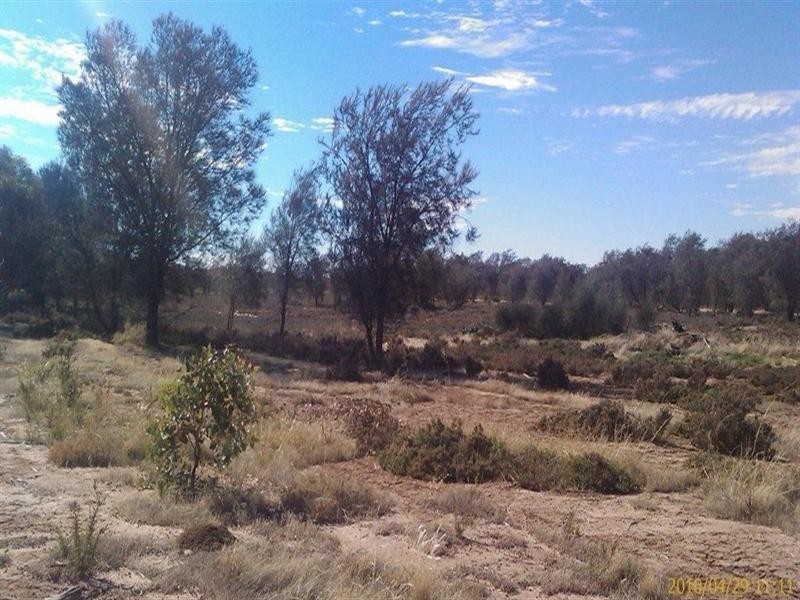 174 Ebsary Road, Dumbleyung WA 6350